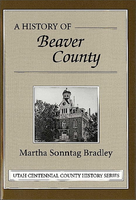 Title details for A History of Beaver County by Martha Sonntag Bradley - Available